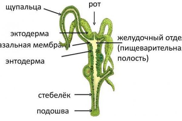 Что такое мега