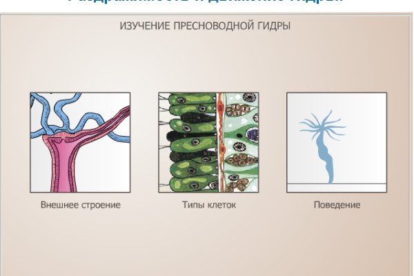 Как загрузить фото на кракен через телефон