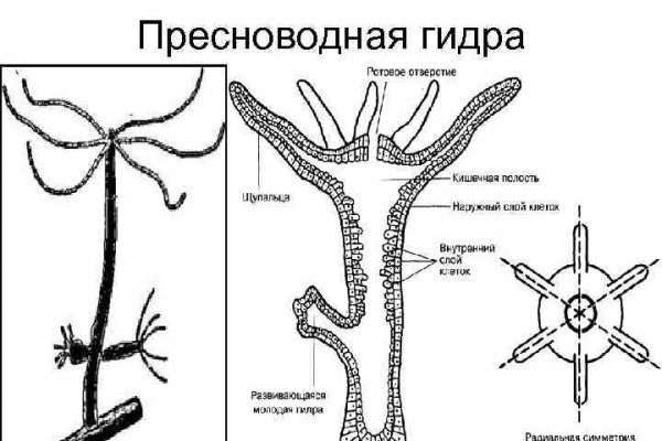 Kraken сайт tor