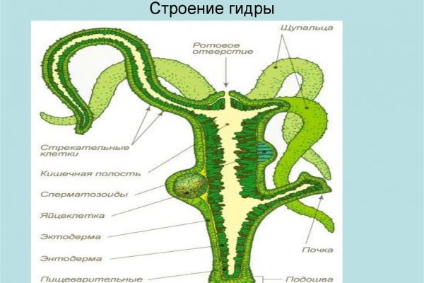 Мега даркнет маркет ссылка тор