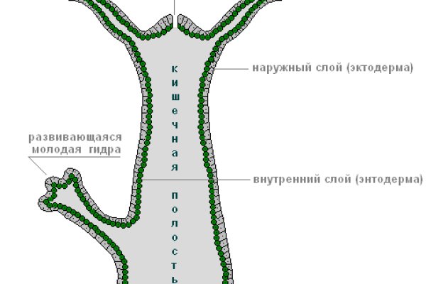 Как обменять биткоины на меге